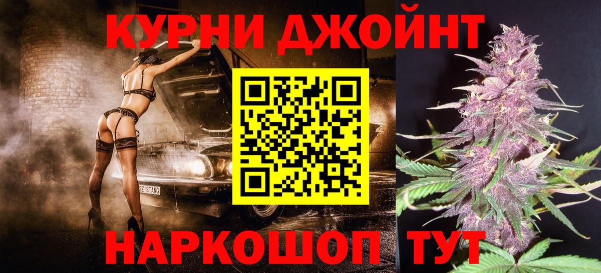 Бошки Шишки планчик Муравленко